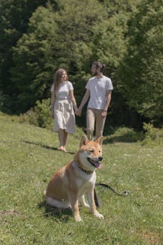 Dog photo: Crate Training Without Shutting Down