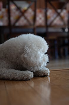 Dog photo: Dog Food for Sensitive Stomachs and Loose Stools