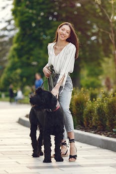 Dog photo: Extinction in Dog Training