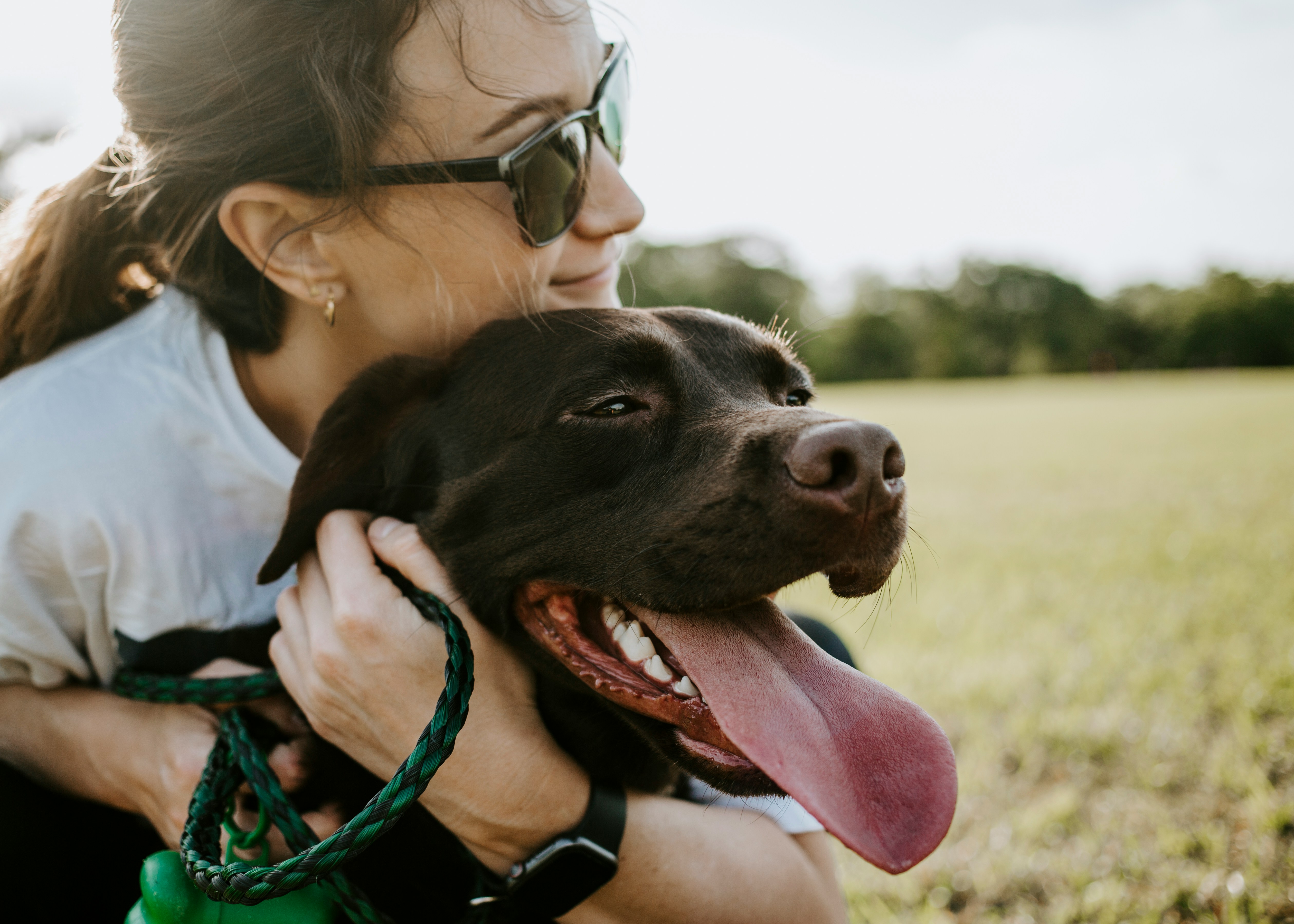 Dog photo: First Week Home Routine