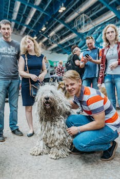 Dog photo: Komondor - Complete Breed Guide