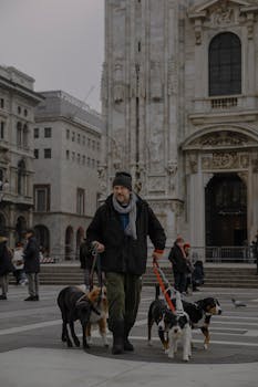 Dog photo: Teaching a Reliable Recall at Home